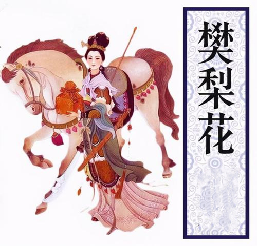 关于樊梨花玉女转世的传说