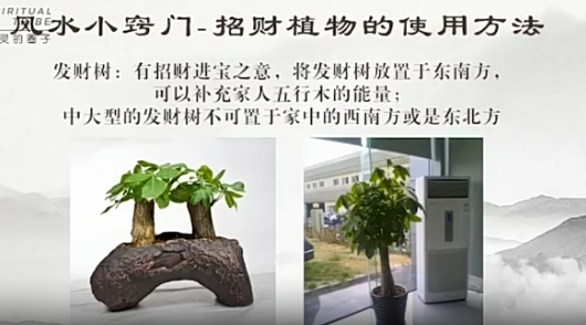 13第13天课程流年飞星