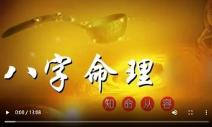 第17课 自坐100集命理八字教学