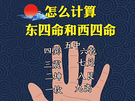 东四命和西四命