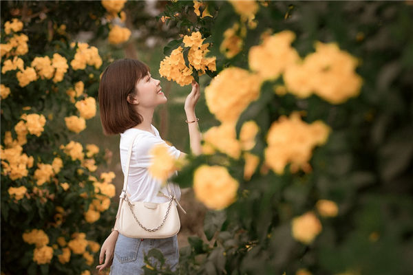 相学中女生龙眉面相如何