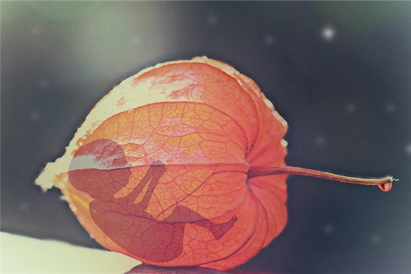 堕胎是命中注定的劫难