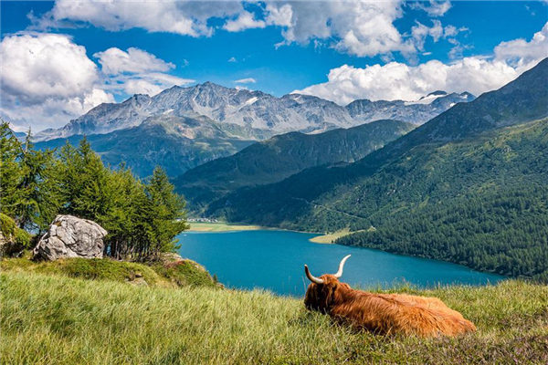 麒麟隐讳怎么生肖