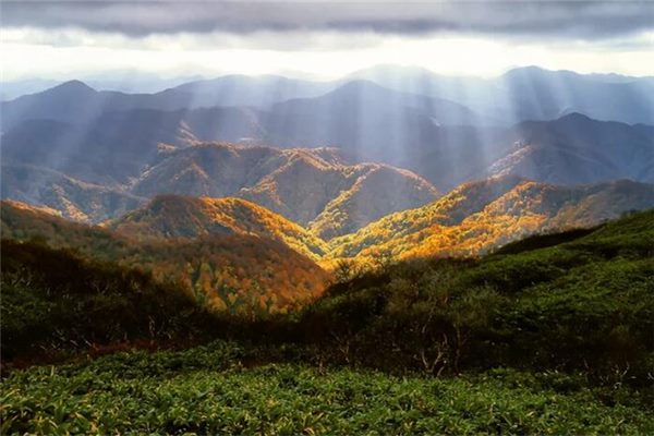 正版二十四山分金详解