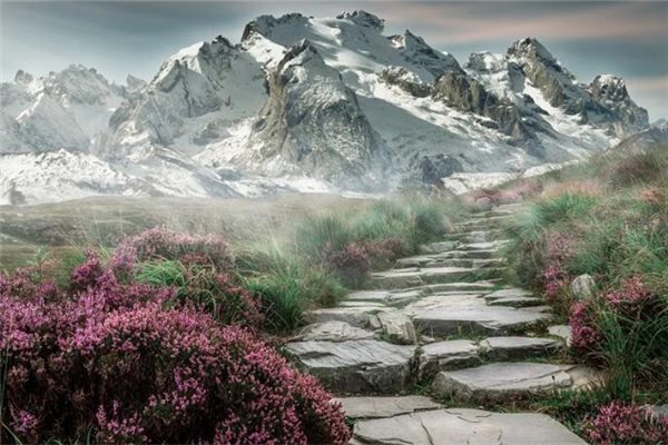 廿四山兼朝分金吉凶