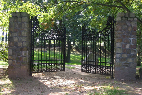 解析别墅大门的环境