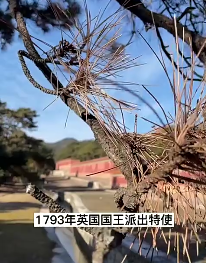 中国历史的三大罪人，你们都认为是谁呢？