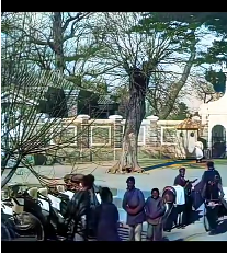 中国 1917很好了