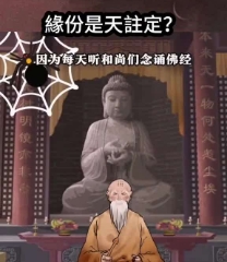 人和人的相遇都是缘份
