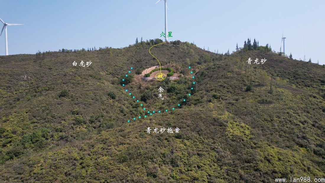 点击查看原图